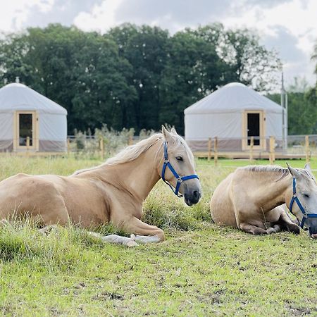 Magnolia Hoeve - Unieke Bestemming Voor Paardenliefhebbers En Bijzondere Overnachtingen In De Natuur Ledeacker Ngoại thất bức ảnh