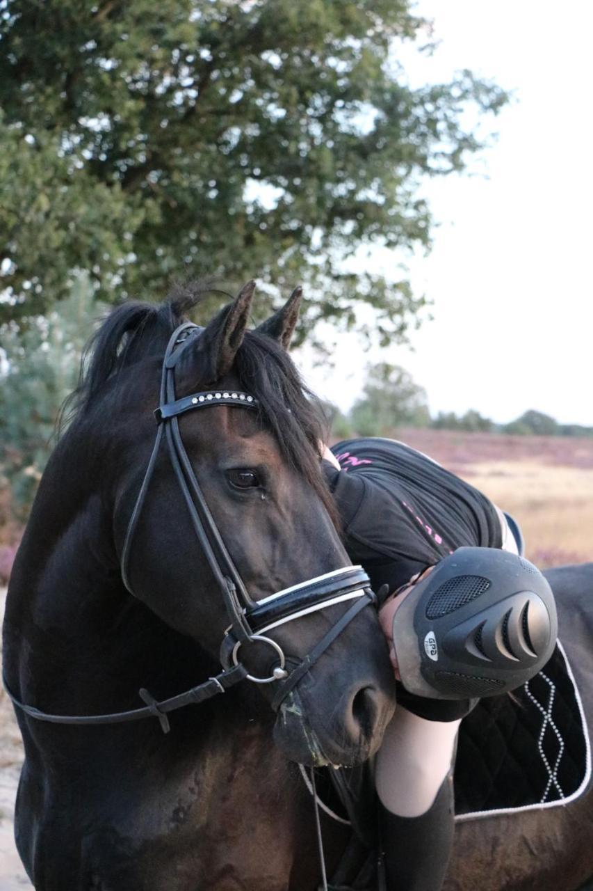 Magnolia Hoeve - Unieke Bestemming Voor Paardenliefhebbers En Bijzondere Overnachtingen In De Natuur Ledeacker Ngoại thất bức ảnh