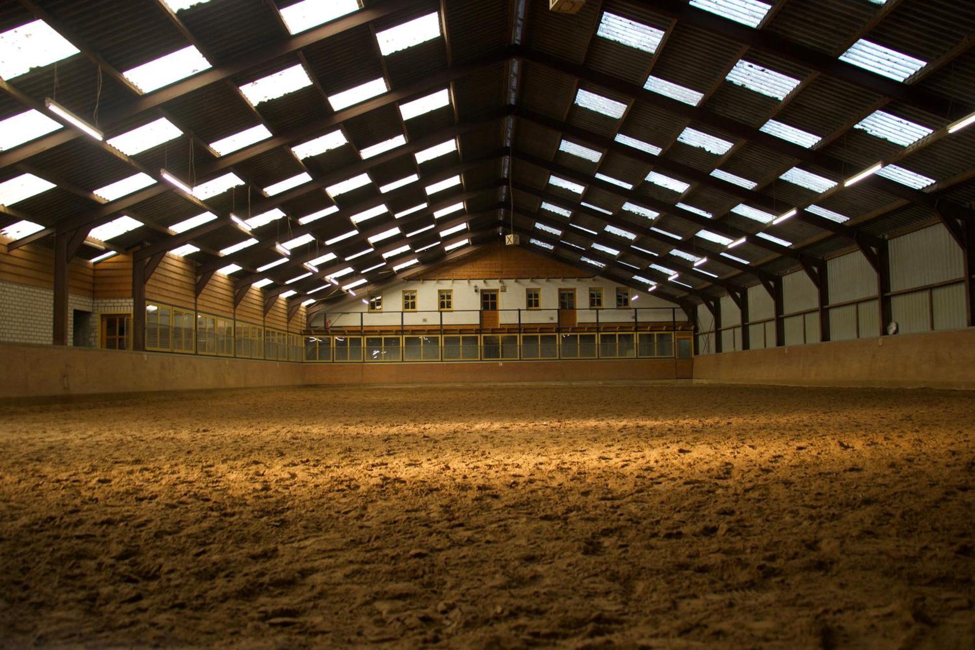 Magnolia Hoeve - Unieke Bestemming Voor Paardenliefhebbers En Bijzondere Overnachtingen In De Natuur Ledeacker Ngoại thất bức ảnh
