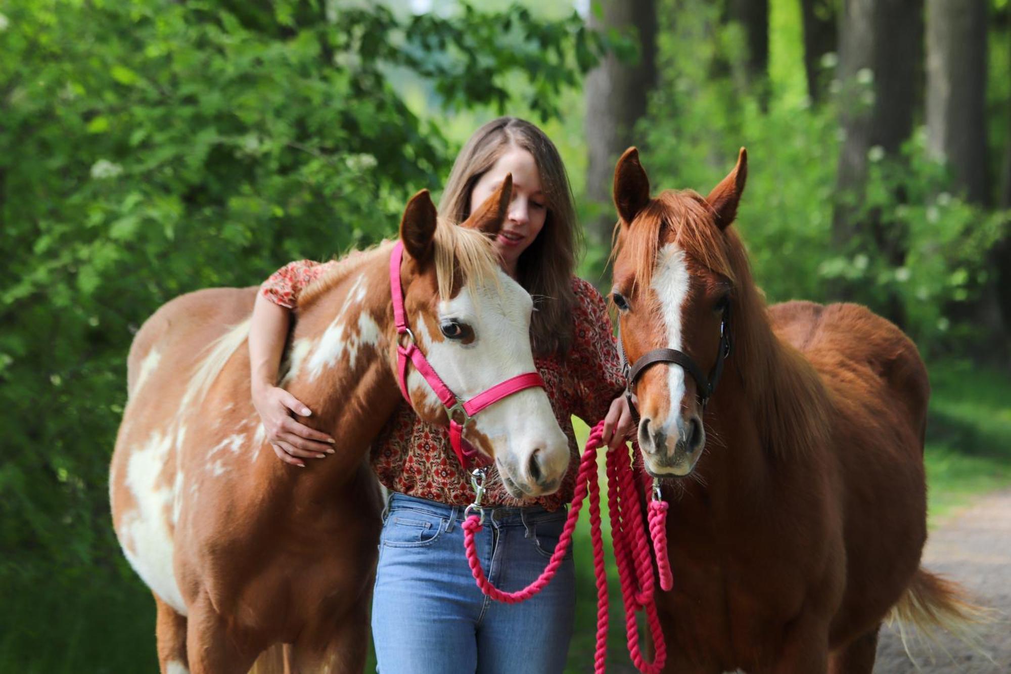 Magnolia Hoeve - Unieke Bestemming Voor Paardenliefhebbers En Bijzondere Overnachtingen In De Natuur Ledeacker Ngoại thất bức ảnh