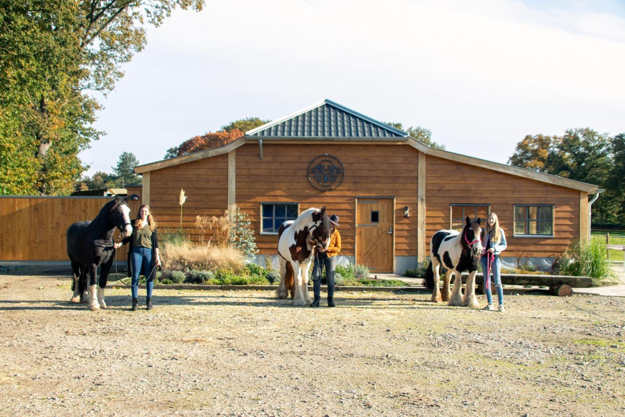 Magnolia Hoeve - Unieke Bestemming Voor Paardenliefhebbers En Bijzondere Overnachtingen In De Natuur Ledeacker Ngoại thất bức ảnh