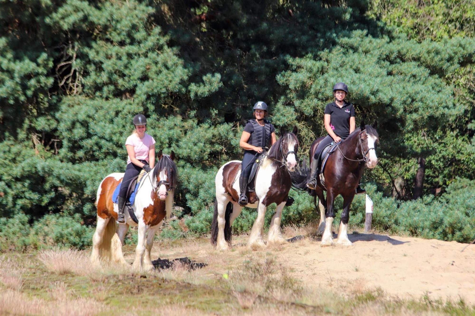 Magnolia Hoeve - Unieke Bestemming Voor Paardenliefhebbers En Bijzondere Overnachtingen In De Natuur Ledeacker Ngoại thất bức ảnh