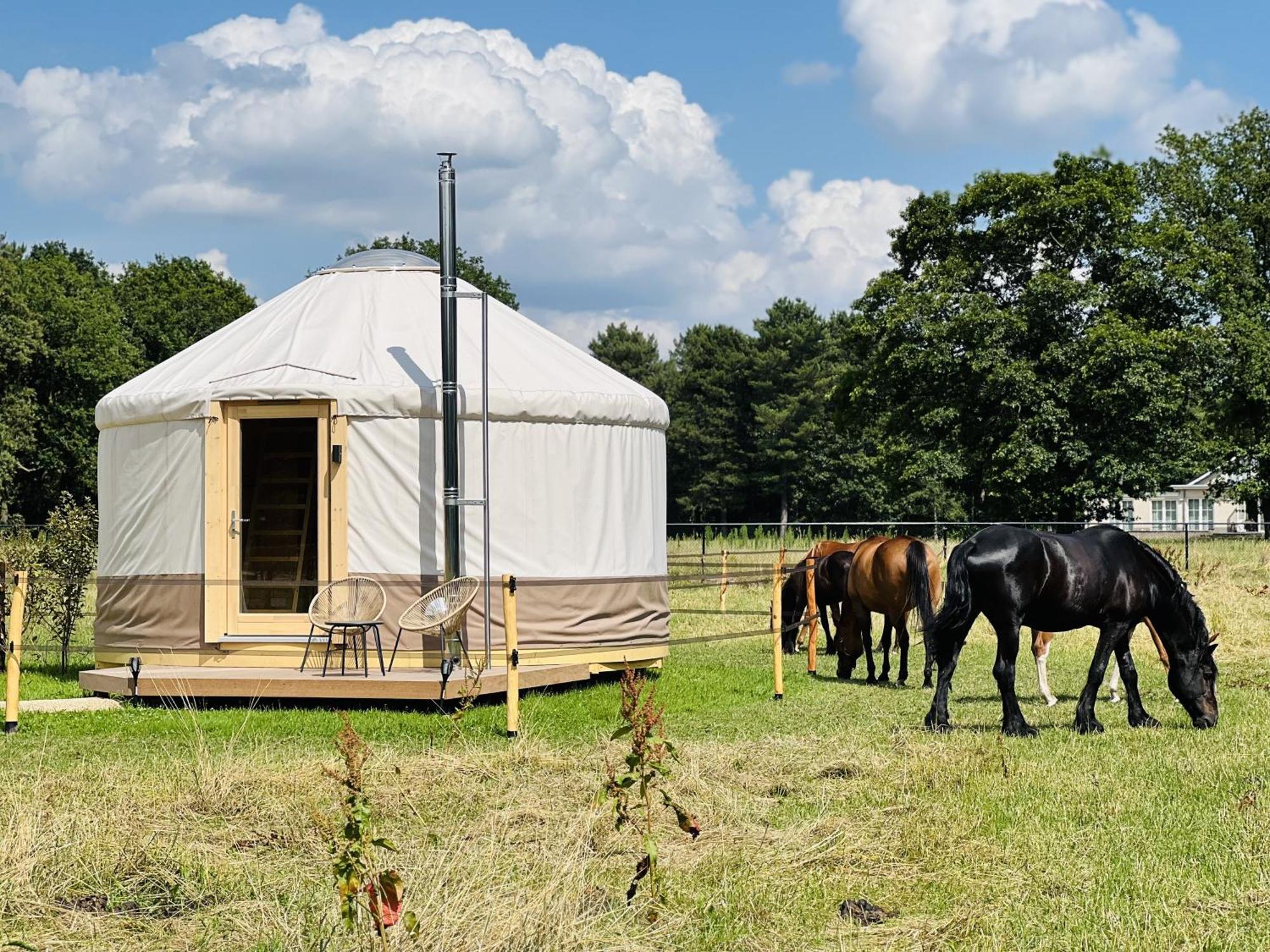 Magnolia Hoeve - Unieke Bestemming Voor Paardenliefhebbers En Bijzondere Overnachtingen In De Natuur Ledeacker Ngoại thất bức ảnh