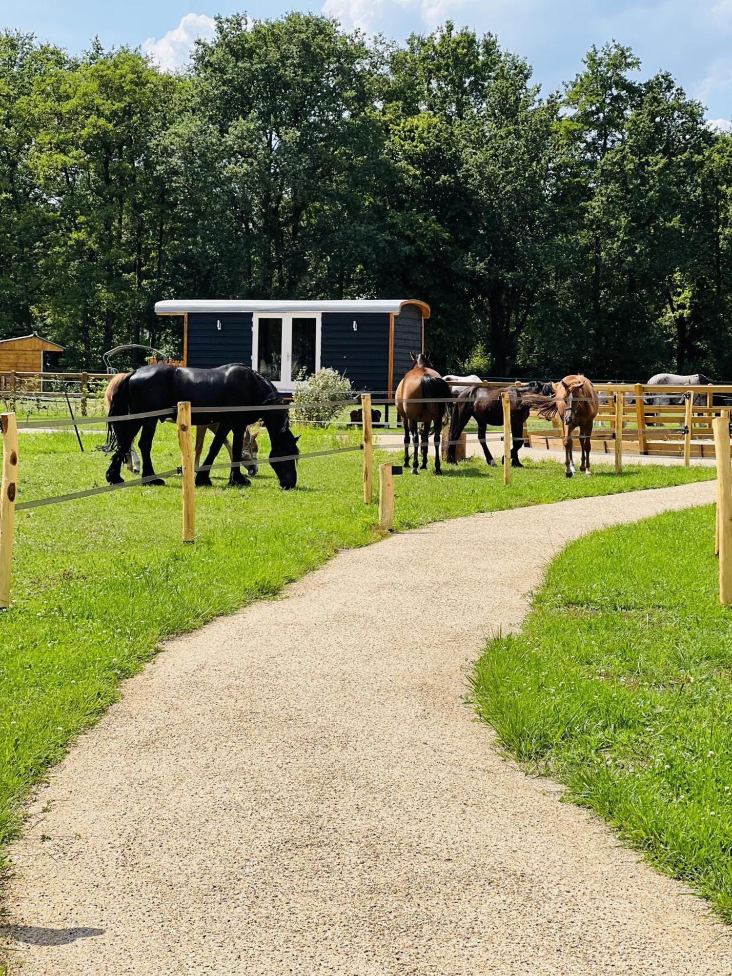 Magnolia Hoeve - Unieke Bestemming Voor Paardenliefhebbers En Bijzondere Overnachtingen In De Natuur Ledeacker Ngoại thất bức ảnh
