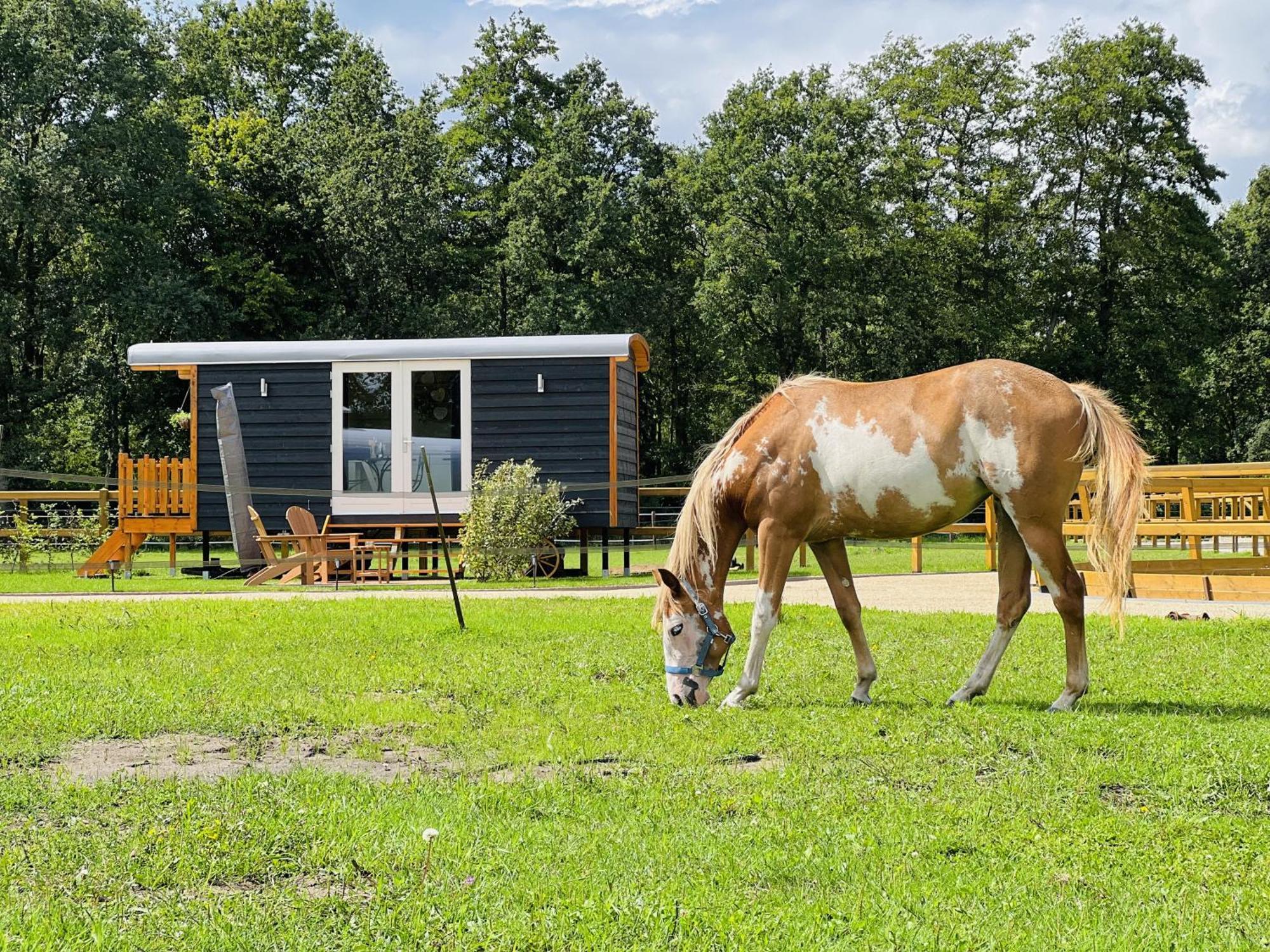 Magnolia Hoeve - Unieke Bestemming Voor Paardenliefhebbers En Bijzondere Overnachtingen In De Natuur Ledeacker Ngoại thất bức ảnh