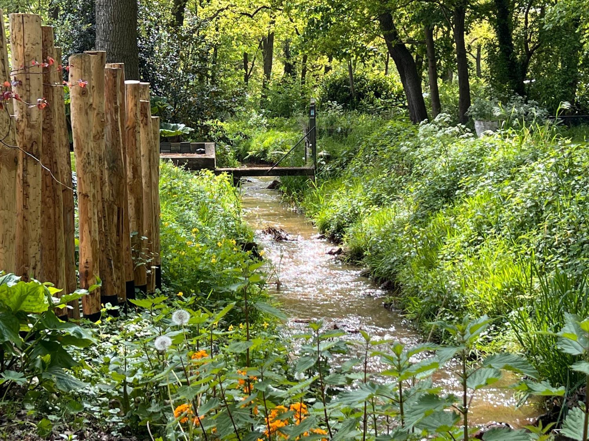 Magnolia Hoeve - Unieke Bestemming Voor Paardenliefhebbers En Bijzondere Overnachtingen In De Natuur Ledeacker Ngoại thất bức ảnh